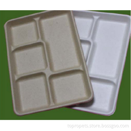 5 compartment tray 12 1/ 2"x 8 1/2"